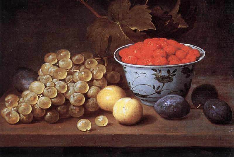 ES, Jacob van Still-Life with Fruit  dg china oil painting image